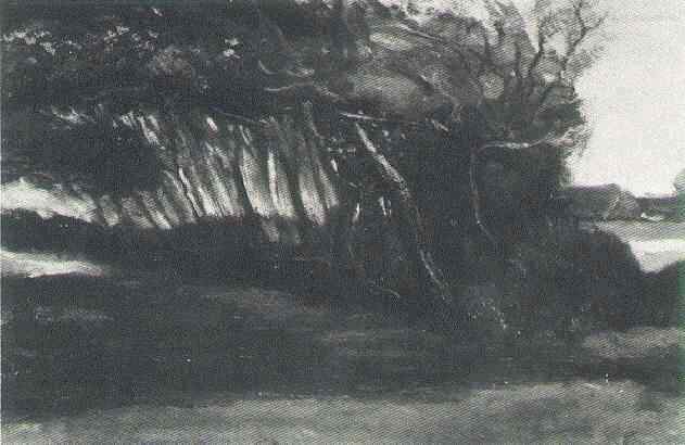 Картина Ван Гога Склонившиеся на ветру деревья 1885